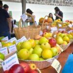 La localidad de Bulán llevará a cabo su festividad anual dedicada a la manzana el próximo sábado 9 de mayo.