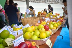 La localidad de Bulán llevará a cabo su festividad anual dedicada a la manzana el próximo sábado 9 de mayo.