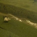 En Cuenca, un adolescente puso en riesgo su vida al saltar a la quebrada El Salado para salvar a su mascota.