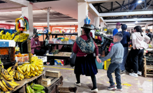 Nueva canasta básica familiar en Ecuador se fija en USD 825,17